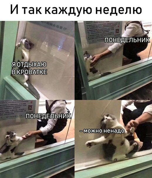 И так каждую неделю 4 мцжнпненадо