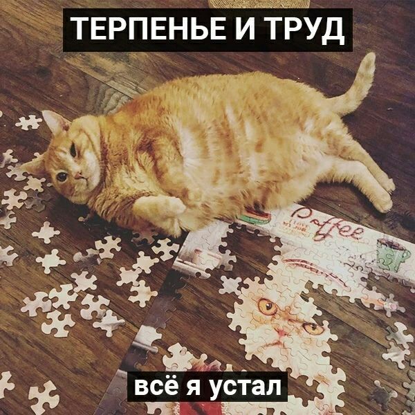 ТЕРПЕНЬЁИ тгЁЁд