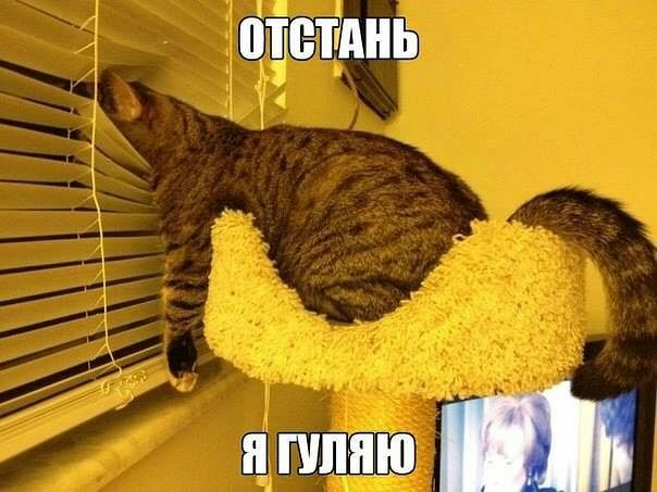 ПЁЁГЁАНБ шпию _
