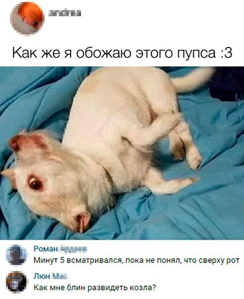 Роман инд Минут 5 всматривапся пока не понял что сверху рот Люн и Как мне Блин развидеть козлаэ