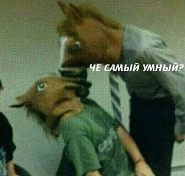 ЧЕ САМЫЙ УМНЫЙ?