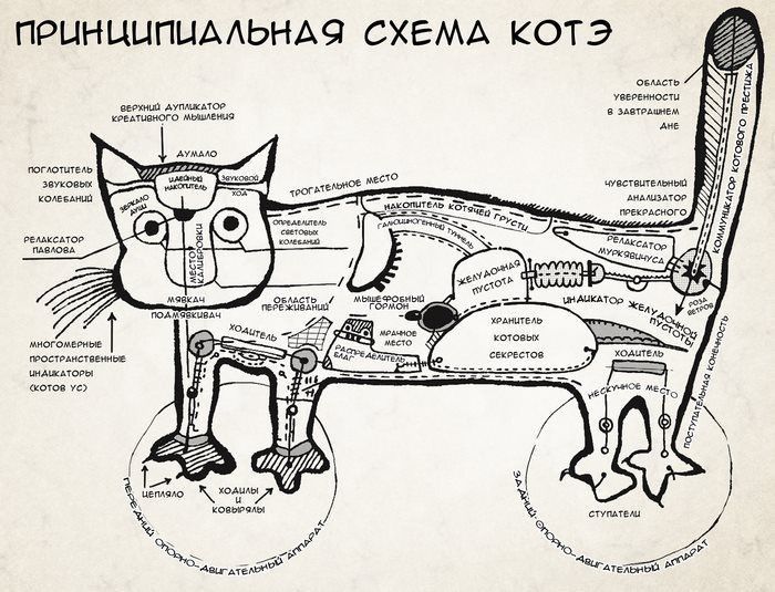 ПРИНЦИПИАЛЬНАЯ СХЕМА КОТЭ