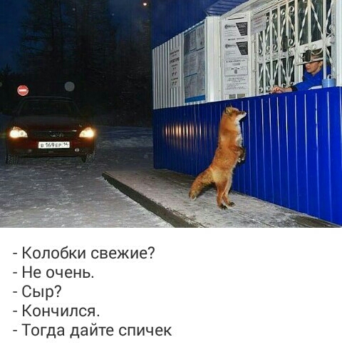 д _ нпНЩ Колобки свежие Не очень Сыр Кончился Тогда дайте спичек