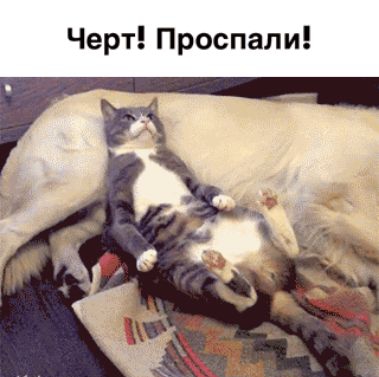 Черт Проспали