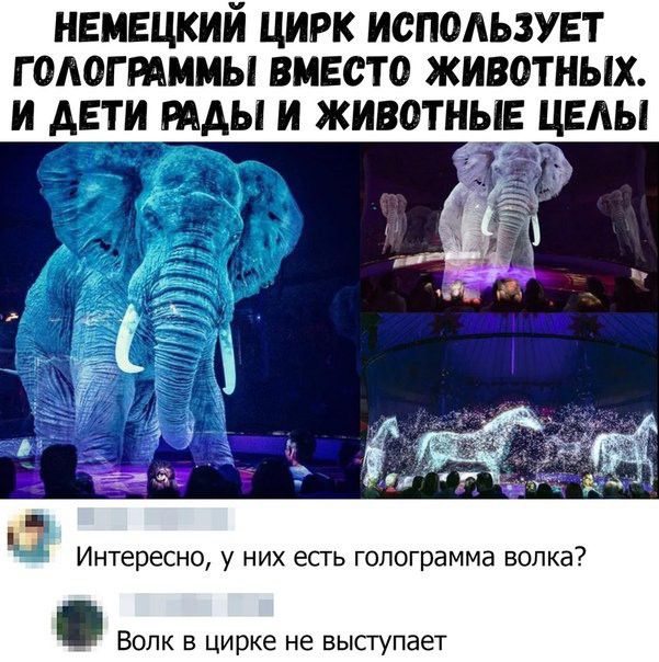 НЕМЕЦКИЙ ЦИРК ИОПОАЬЗУЕТ Г ОАОГ РАММЫ ВМЕСТО ЖИВОТНЫХ И АЕТИ РАДЫ И ЖИВОТНЫЕЦЕАЫ 2 Интересно у них есть голограмма волка ВОЛК Б цирке не выступает