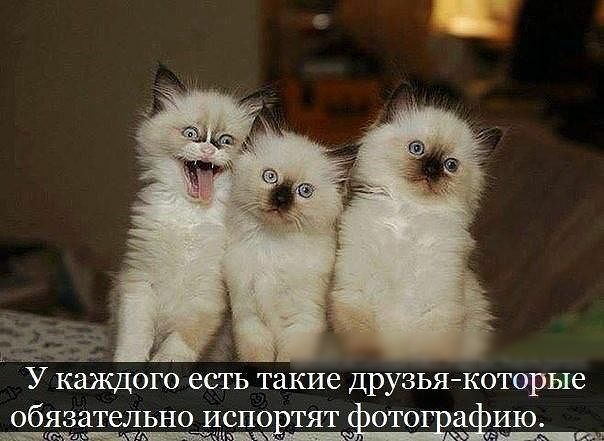 ЪЗЁЁЁ У КЩОГО ЕСТЬ такие друзьякоторые обязательно ИСПОНТЯТ ОТО а ИЮ пшешмц шь шспмъ