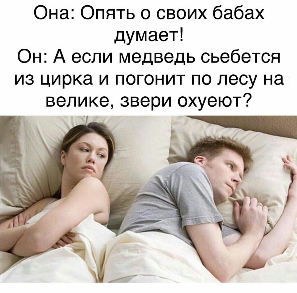Она Опять о своих бабах думает Он А если медведь сьебется из цирка и погонит по лесу на велике звери охуеют