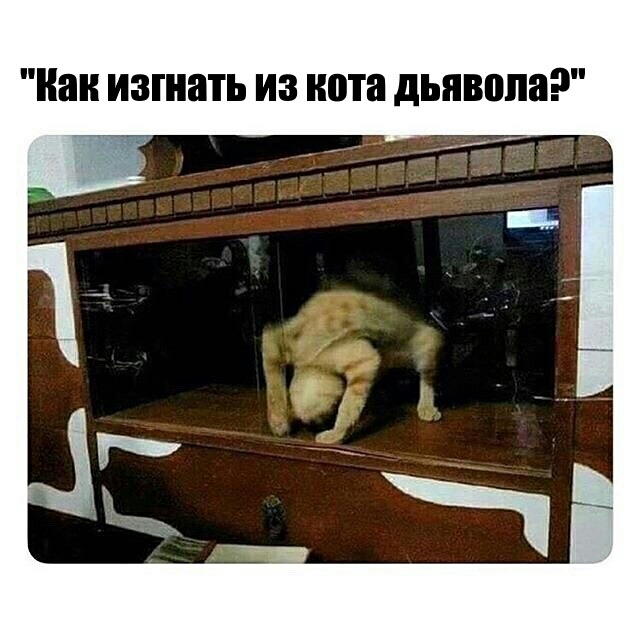 наи ИЗПШТЬ ИЗ нота дьявола