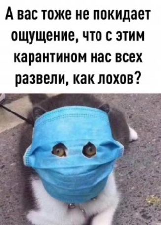 А вас тоже не покидает ощущение что С ЭТИМ КЗПЗНТИИОМ нас ВСЕХ развели как ЛОХОВ 19 _1