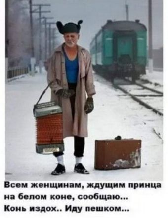 Пени жоп шпили идущим принц ия белом коне сообщаю Конь вздох иду пинком