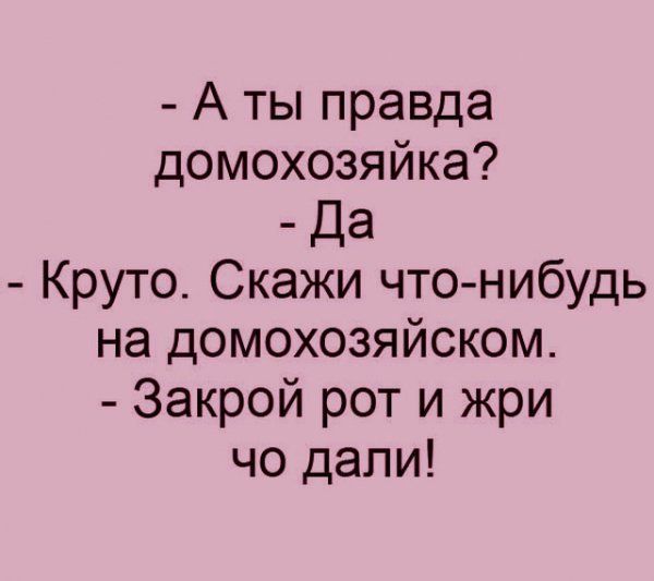 А ты правда домохозяйка _ Да Круто Скажи что нибудь на домохозяйском Закрой рот и жри чо дали