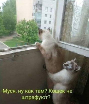 Ксшск ы т р от7 _
