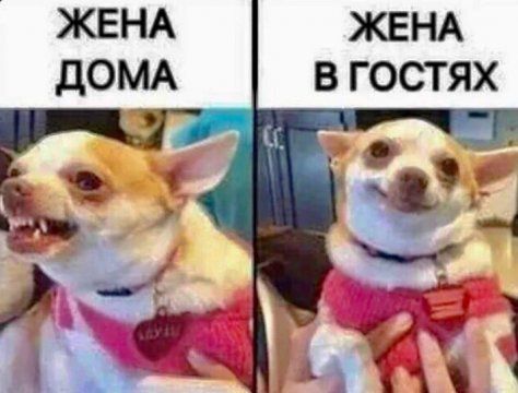 ЖЕНА ЖЕНА дОМА В ГОСТЯХ