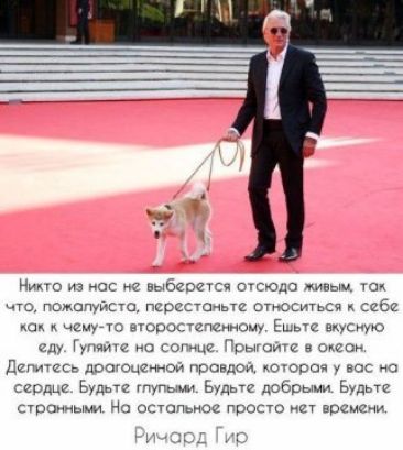 і о из нос аыбеотсч шсюдо Млын что ПОЖОПУЙСТО псоссточьте Огюситьсч 2612 ч прицепщ Е и еду ге чоыам ДЕПИШСЬ допчсчйниой правдой сгорая у вас 0 тупым в добры в СВпнцыьм На сстспьнои просто и врши