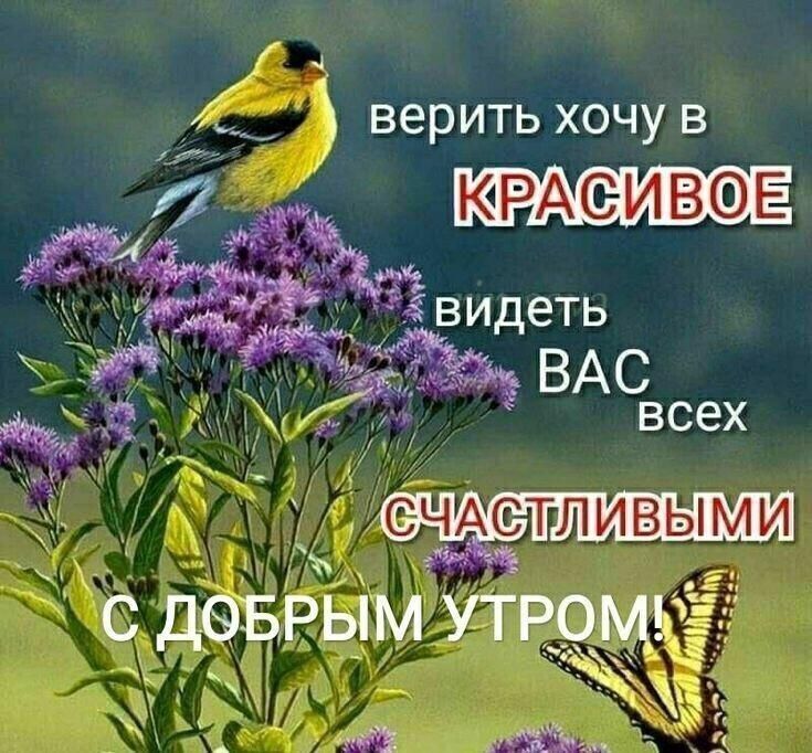 4 ВЭРИТЬ ХОЧУ В КРАСЁИВФЕ