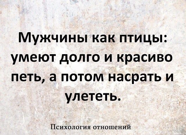 Мужчины как птицы умеют долго и красиво петь а потом насрать и улететь Психология отношений