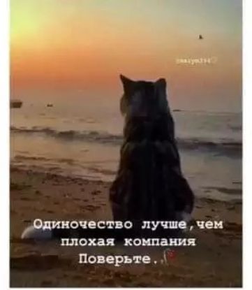 тночество лучше чем плохая компании Поверьтв