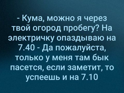 Кума можно я через твой огород пробегу На электричку опаздываю на 740 Да пожалуйста только у меня там бык пасется если заметит то успеешь и на 710