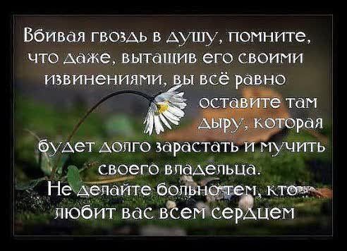 Ббивал гвоздь в душу помните что даже вытащив его своими извинениями всё рино ЁуАет делю Зардстат мучить вп Аерьцд любит вас вёейсе цеи