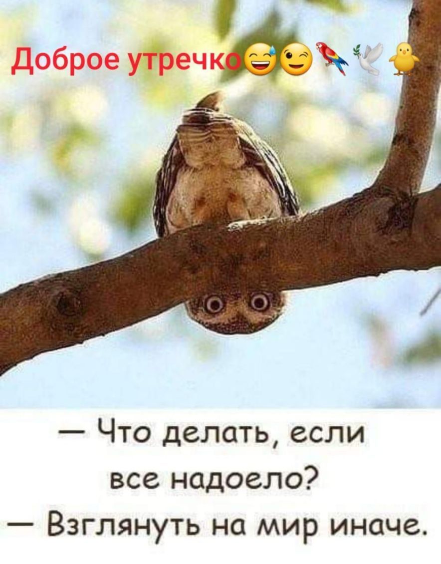 Что делать если все надоело Взглянуть на мир иначе