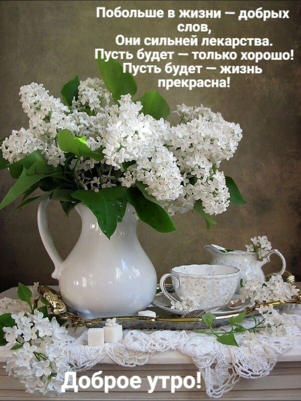 Побольше в жизни добрых о Мэв и виджеи пе будет тжшо Пусть будет жизнь