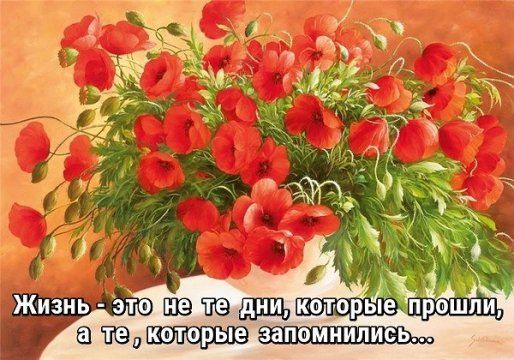 д