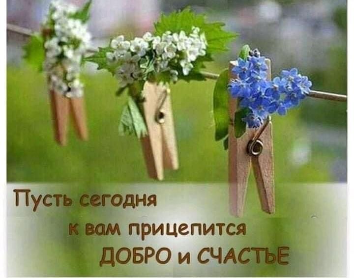 и я _ Мприцепит БРО и С Зі