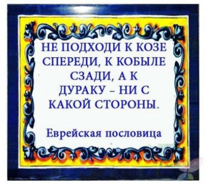 НЕ ПОЦХОДИ К КОЗЕ СПЕРЕДИ К КОБЫЛЕ _ СЗАДИ А К ДУРАКУ НИ С КАКОЙ СТОРОНЫ