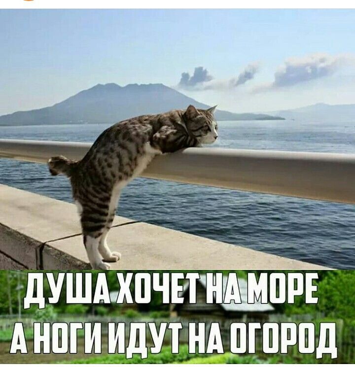 дУШАХПЧЕТНПРЕ А ИПГИ ИДУТ НА ПГПРПД