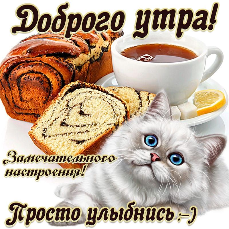 Жрастщуйыбйись
