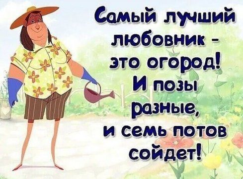 Самый лучший любовник это огород И пезыд