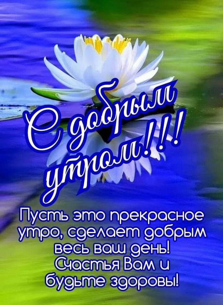 Пусть это прекросное утра С9еАоет 9обрым весьТвош 9ень Счастья Вом Ц бу9ьте з9оровы