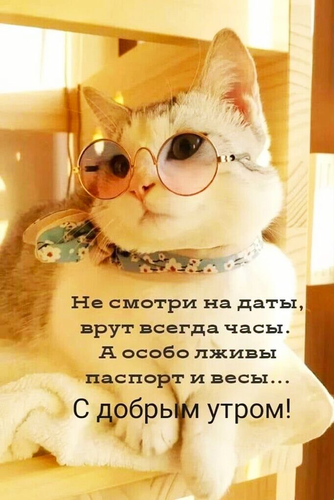 Не смотри на даты врут всегда часы А особо пживы паспорт и весы С добрь утром д