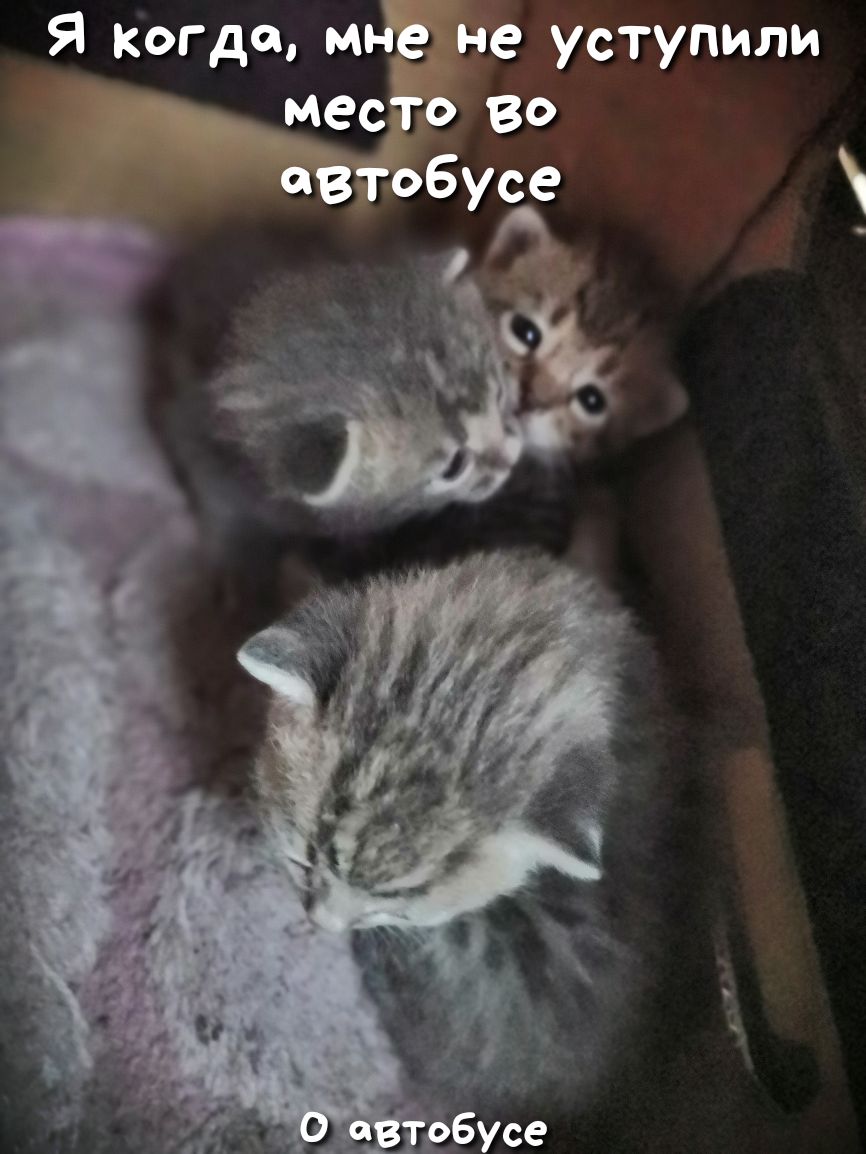 Я когда пп Ю не уступили т бусе 0