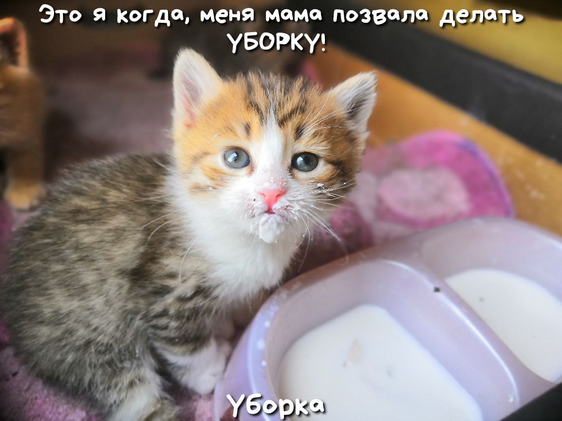 Это я когда меня мама позвала делать УБОРКУ