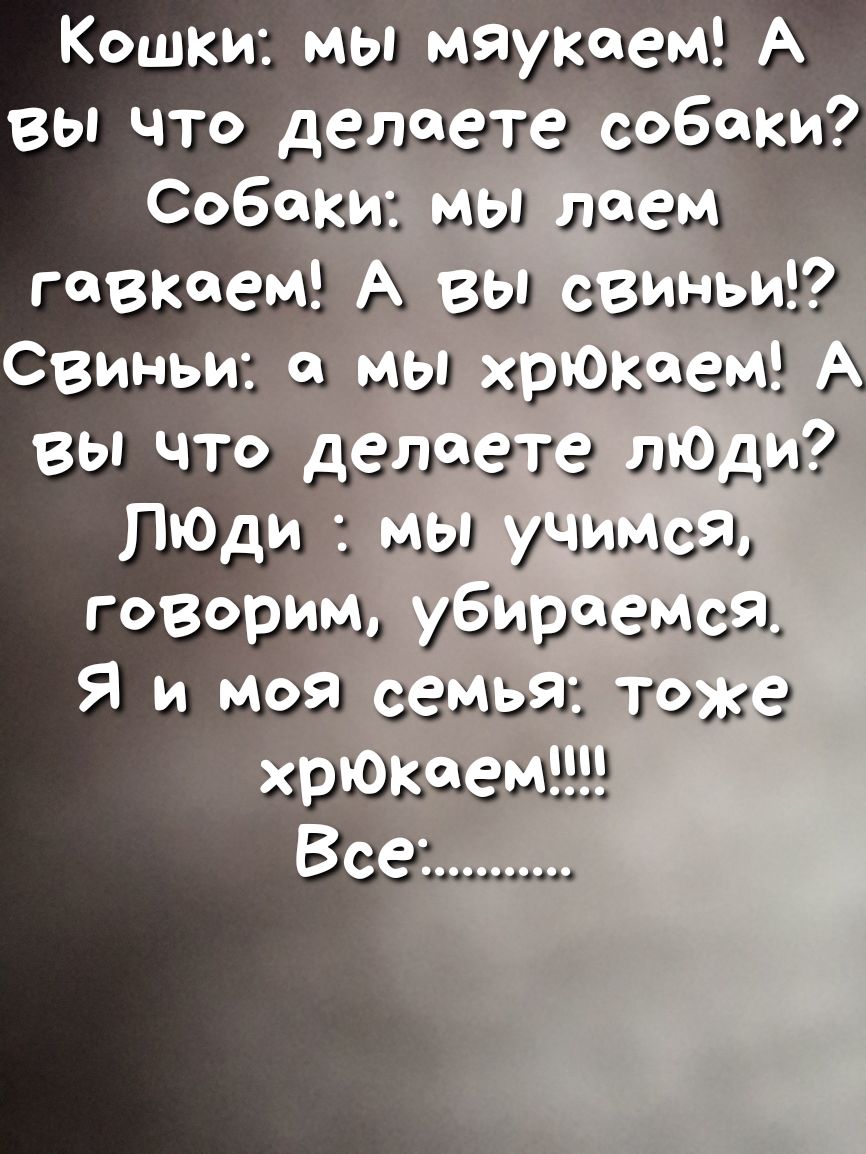 Кошки мы мяукчем А вы что дё ое Э Ёаки