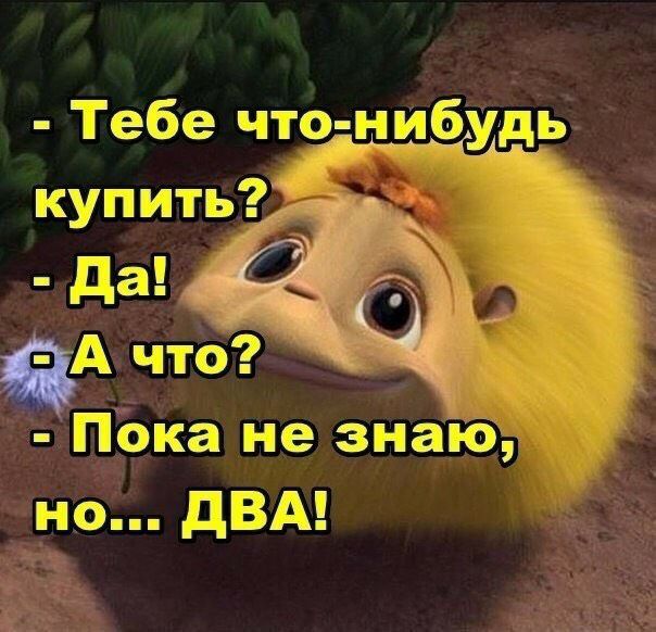Тгёе чтсэ ыибущь