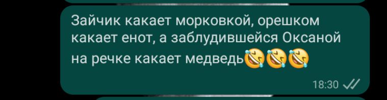 Зайчик какает морковкой орешком какает енот а заблудившейся Оксаной на речке какает медведь 1830