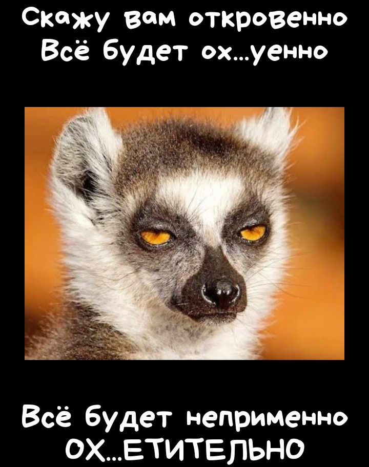 СЮЖУ вом откровенно Всё будет охуенно Всё будет неприменно охЕтитепьно