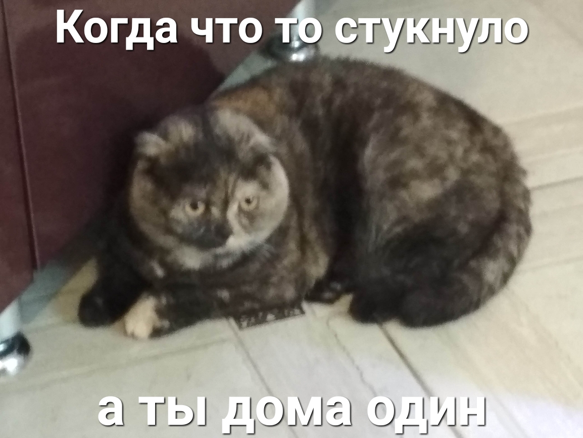 шумы ул а ты дома один