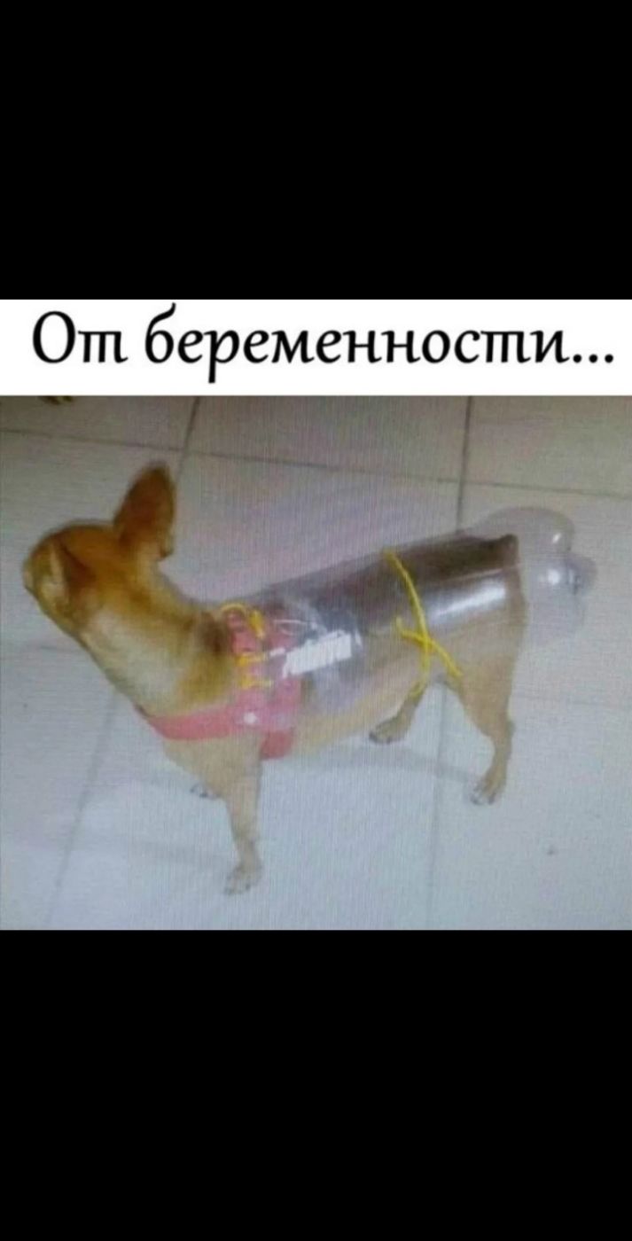 От беременности
