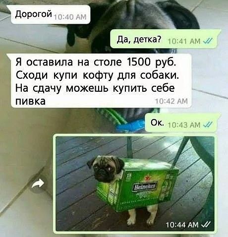 да детка 1041 Ам _ Я осгавила на столе 1500 руб Сходи купи кофту для собаки На сдачу можешь купить себе пивка 44 АМ