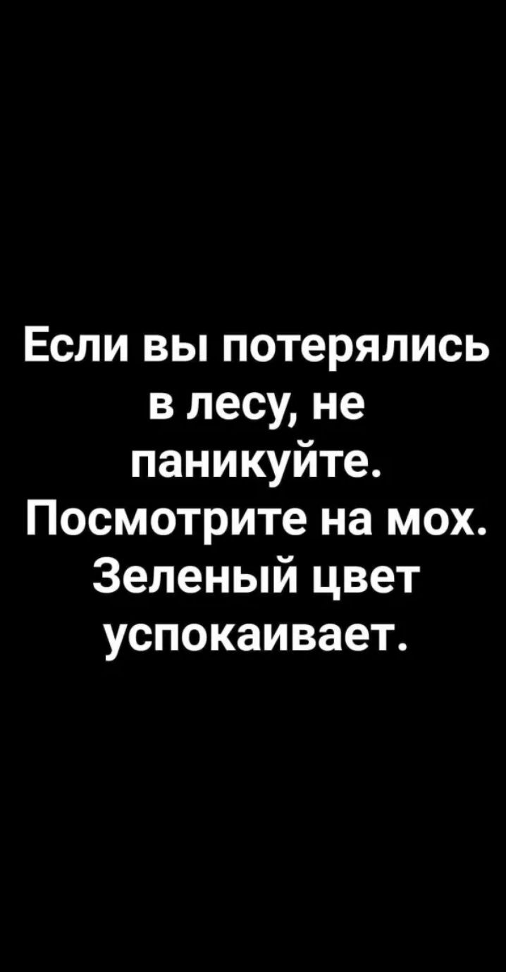Если вы потерялись в лесу не паникуйте Посмотрите на мох Зеленый цвет успокаивает