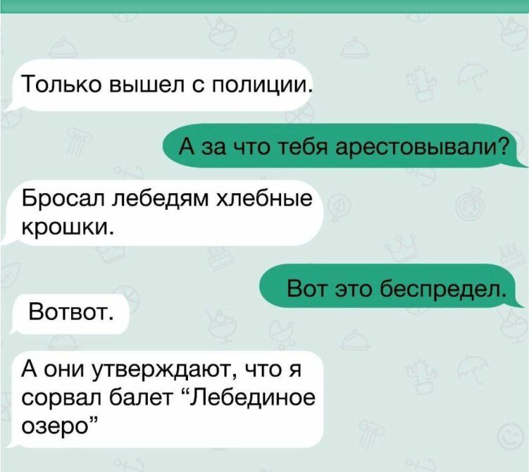 ТОЛЬКО вышел С ПОЛИЦИИ Бросал лебедям хлебные крошки А они утверждают что я сорвал балет Лебединое озеро Вотвот