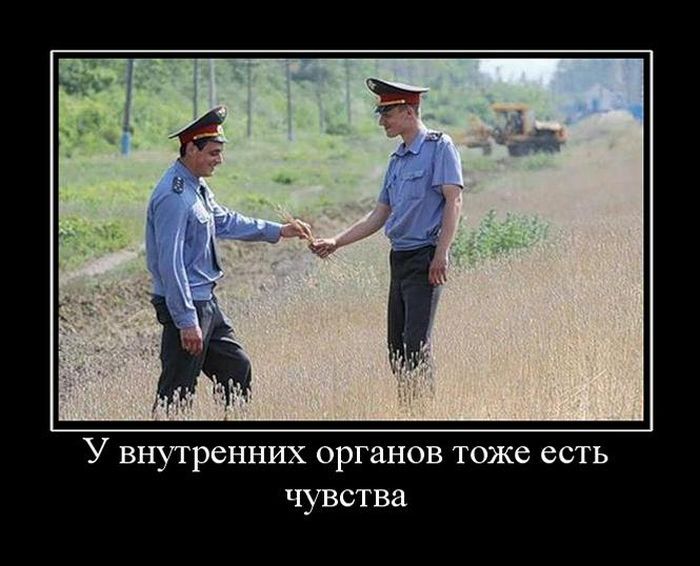 У внутренних органов тоже есть чувства