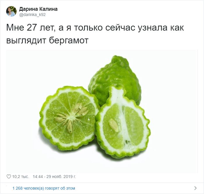 дарина Калина Паппка_к92 Мне 27 лет а я только сейчас узнала как выглядит бергамот Очопыс 14 729 нояб 2019г 1 268 чеповеця говорят 05 атм