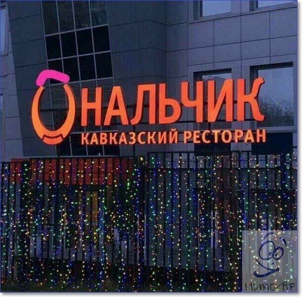 НАЛЬЧИК кпкдзский штамм