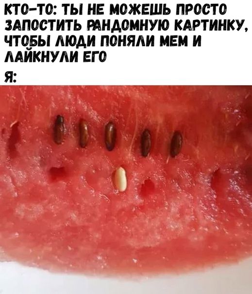 КТ О ТО ТЫ НЕ МОЖЕШЬ ПРОСТО ЗАПОСТИТЬ РАНАОМНУЮ КАРТИНКУ ЧТОБЫ МОАИ ПОНЯАИ МЕМ И ААИКНУАИ ЕГО Я ё000
