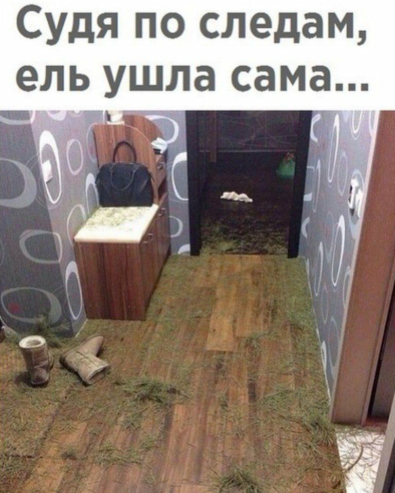 Судя по следам