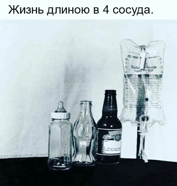 Жизнь длиною в 4 сосуда